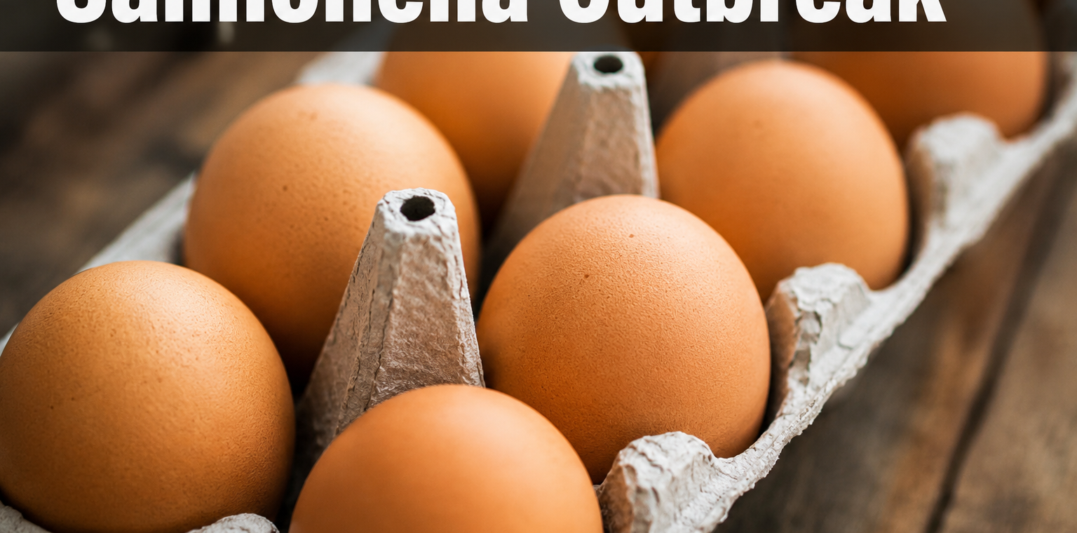 Holographic robot inspecting a recalled egg carton with an FDA notice for Salmonella outbreak affecting 19 million eggs across 17 states.