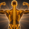 Illustration of a skeleton performing a squat jump surrounded by calcium and vitamin-rich foods, representing bone health through nutrients and exercise.