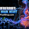 Blueberries health benefits highlighted across the human body's brain, heart, and gut