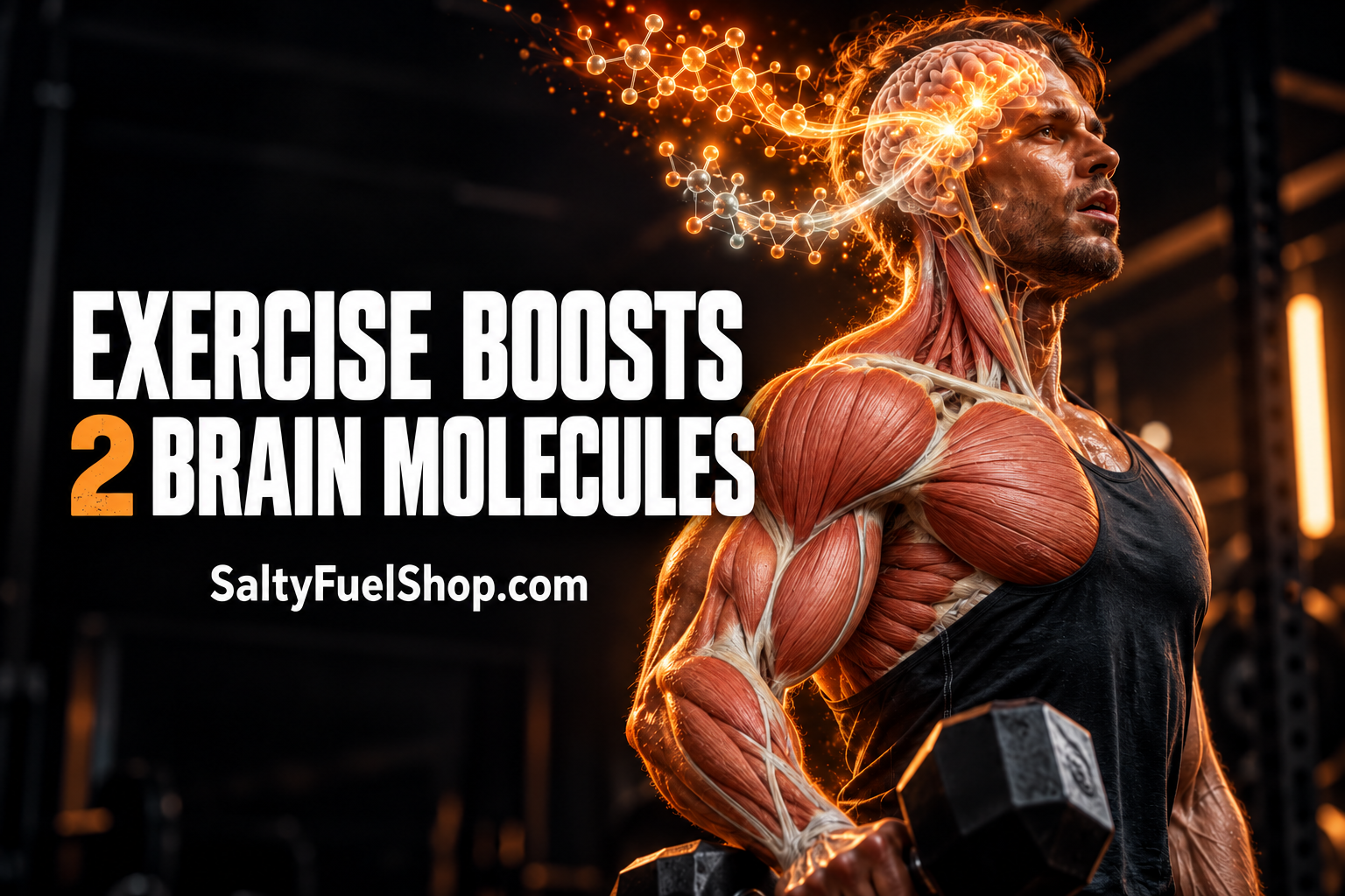 Muscular athlete lifting weights with an illuminated brain illustrating exercise brain health benefits