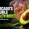 Health Benefits of avocados supporting heart and gut anatomy