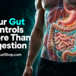 Metabolism and gut health illustrated in a human torso anatomy